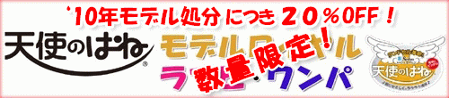 残りわずか！！数量限定２０％OFF！ポイント１０倍！