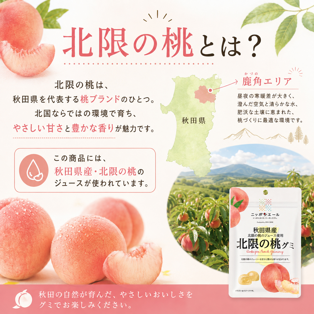 秋田県鹿角 北限の桃とは
