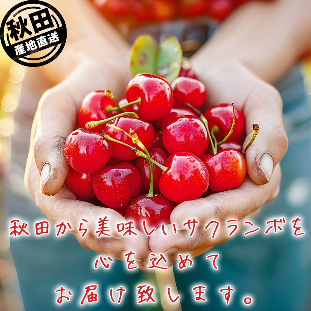 さくらんぼ