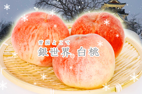 秋田,横手,桃