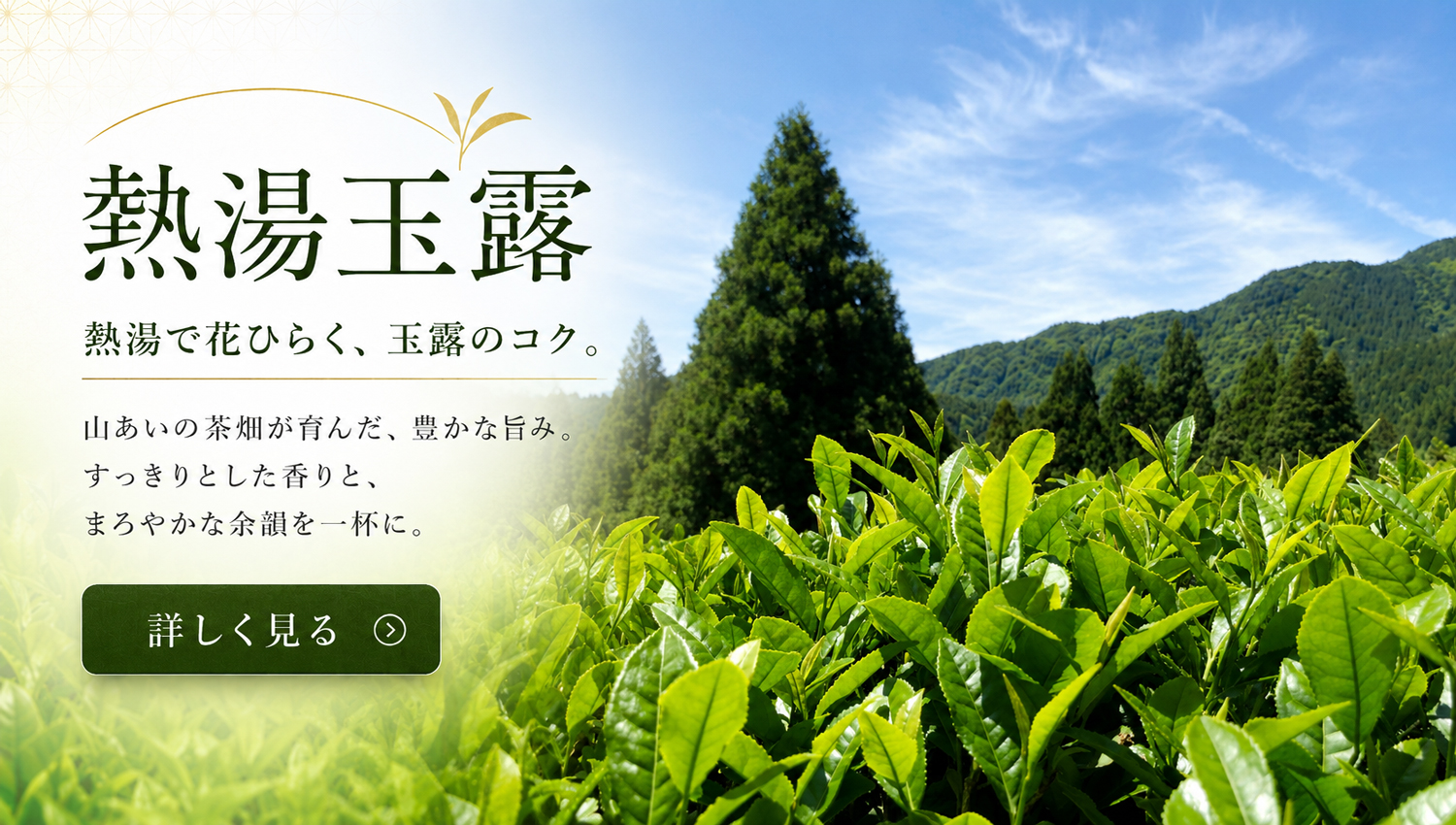 熱湯玉露