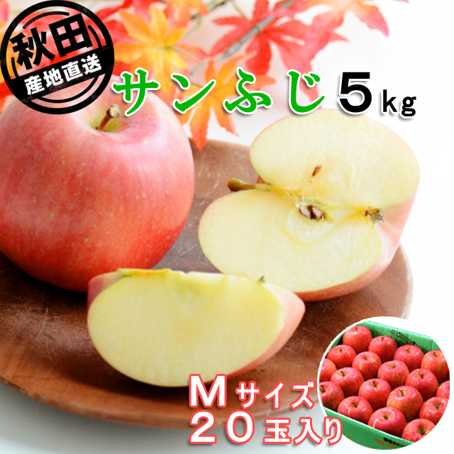 秋田産りんご サンふじ5kg Mサイズ20玉