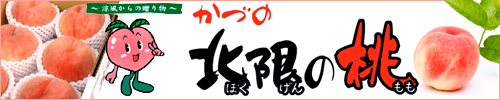 秋田県産 JAかづの 北限の桃