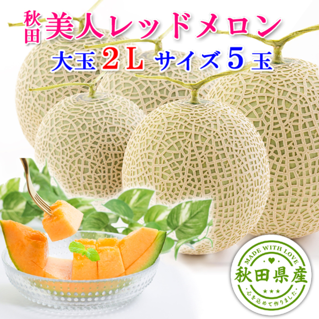秋田美人メロン