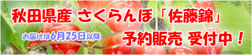 さくらんぼ秋田県産,佐藤錦,紅秀峰,JAこまち,JA秋田ふるさと,チャーミーチェリー