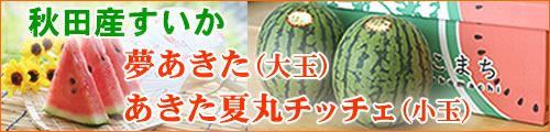 jaうご,jaこまち,夢あきた,あきた夏丸,すいか,西瓜