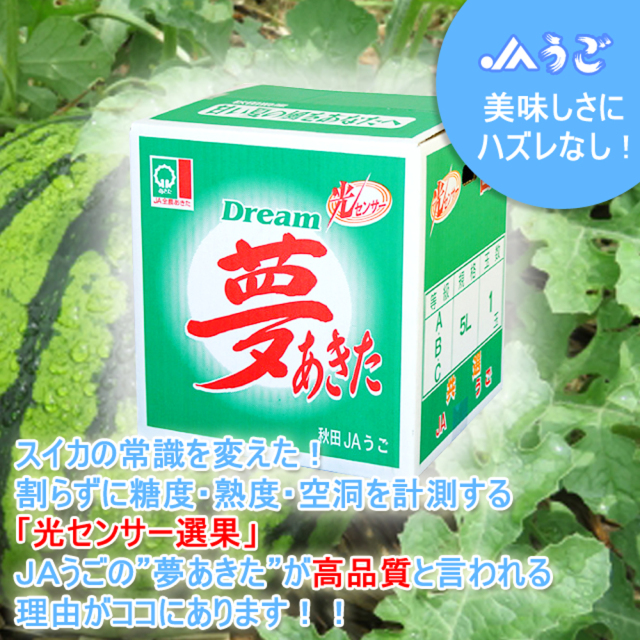 秋田県産,すいか,JAうご「光センサー夢あきた」 L(2玉入り
