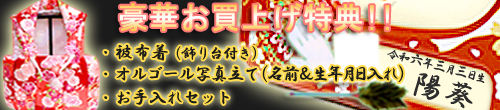 「ひな人形お買上げ特典」はコチラをクリックして下さい♪